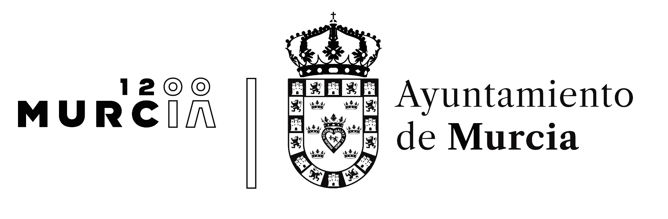 Logo Ayuntamiento de Murcia